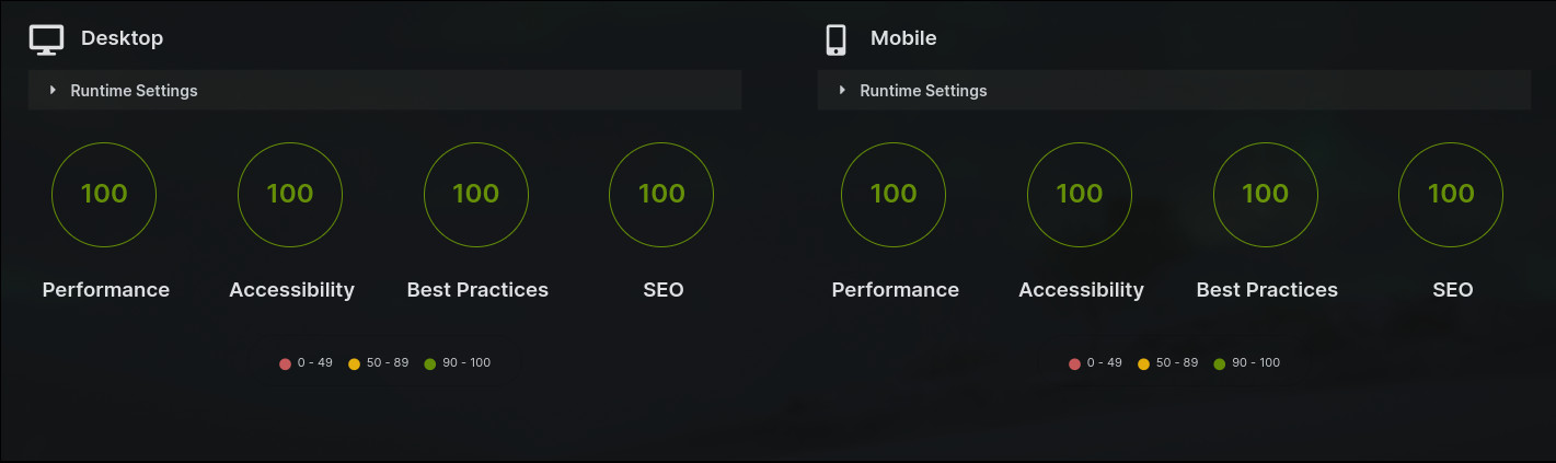 100/100 Google Lighthouse Page Score Raport